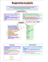 Respiration in Plants .pdf